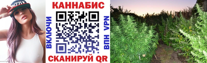 Марихуана Amnesia  купить   shop Telegram  Новоульяновск 